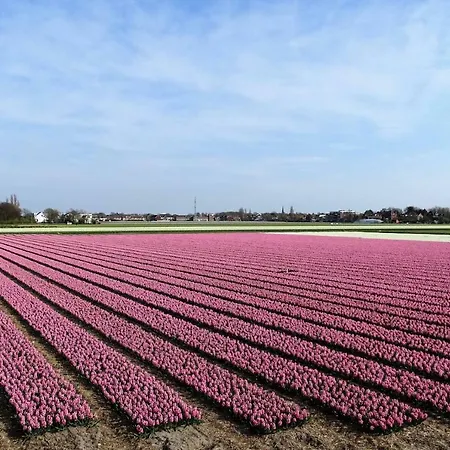 Bollenstreek Hillegom